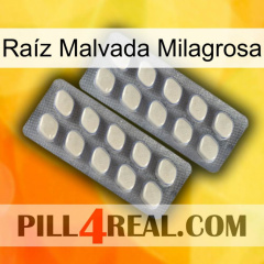 Raíz Malvada Milagrosa 07